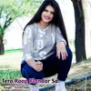 About Tera Roop Blandar Sa Song